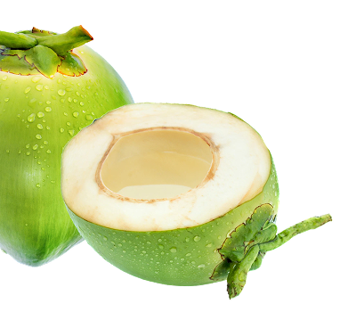 Coconut