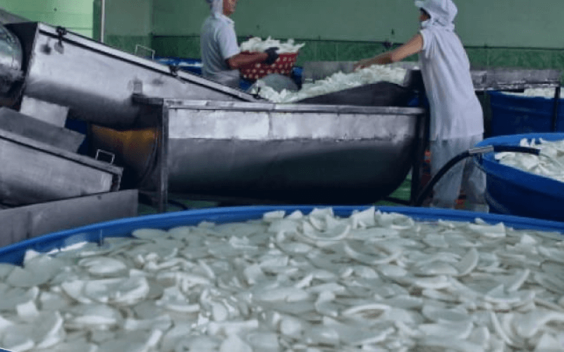 Manufacturing Facility 1